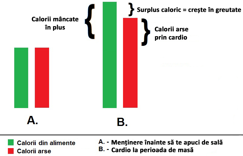 exercitii cardio surplus caloric